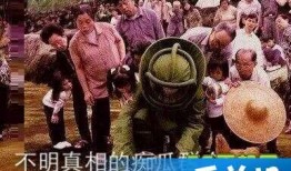 吃瓜群众的意思和由来,揭秘网络围观文化的兴起与演变