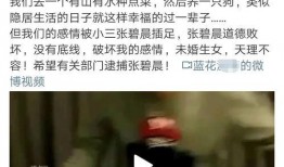 吃瓜最娱乐营销号,揭秘吃瓜最娱乐营销号的幕后故事