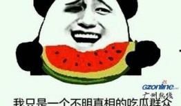 吃瓜群众指的是什么意思,网络时代的旁观者与评论者