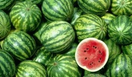 吃瓜娱乐间的作品有哪些,盘点热门作品的精彩瞬间