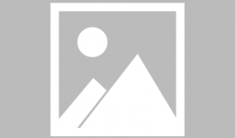 娱乐吃瓜酱伴娘在线观看,一场笑料百出的婚礼盛宴