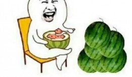 高贵的娱乐吃瓜