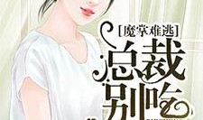 娱乐圈吃瓜酱小说在线阅读,吃瓜酱小说，揭秘明星背后的故事