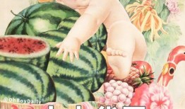 娱乐吃瓜图鉴在哪看,全网热门内容一键掌握