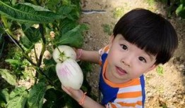 江西太晚娱乐陪你吃瓜,陪你吃瓜，畅谈娱乐圈新鲜事