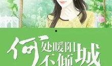 娱乐吃瓜酱推文小说,揭秘娱乐圈背后的秘密与八卦