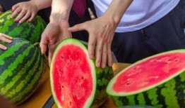 鱼娱乐吃瓜,揭秘娱乐圈那些不为人知的幕后故事