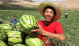 江西太晚娱乐陪你吃瓜,陪你吃瓜，畅谈娱乐圈新鲜事